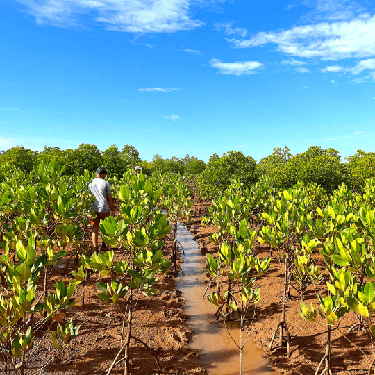 Madagascar Image Galley SQ 7