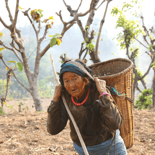 Nepal Image Galley SQ 2