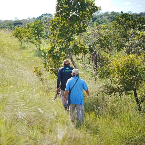 Bakairi Indigenous Territory SQ4