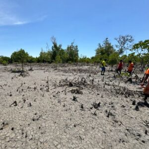Ankilahila SQ4 Ankilahila SQ4