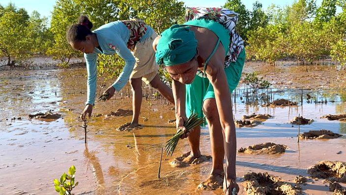 Donate-Header-Image Donate Header Image