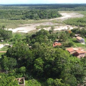 Mara Mangrove SQ11
