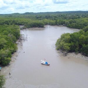 Mara Mangrove SQ9